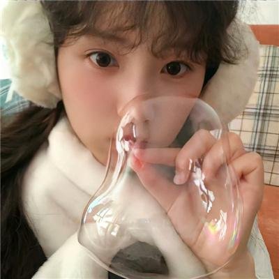 我的朋友是萌鲨